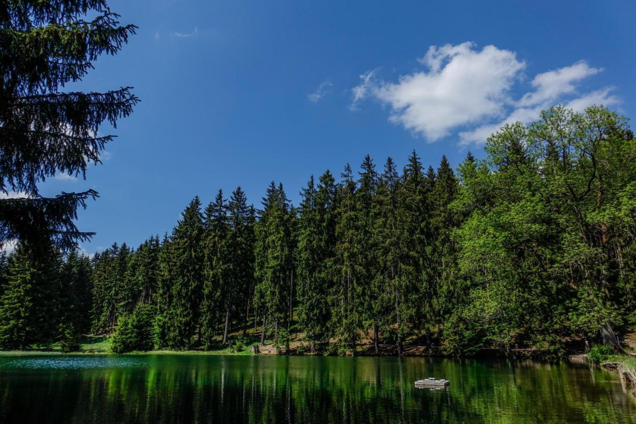 Pension Haus Saarland Oberhof  Dış mekan fotoğraf